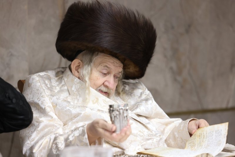 דוד כהן