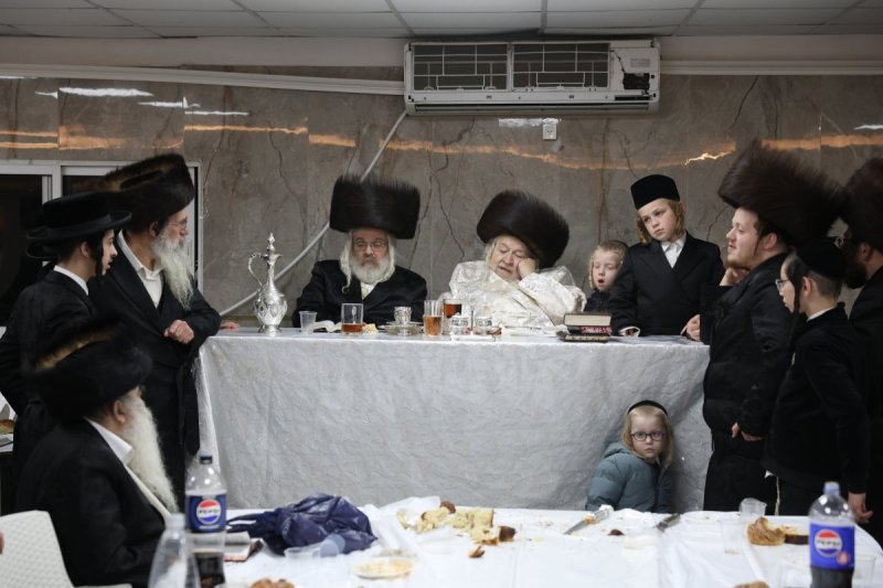 דוד כהן