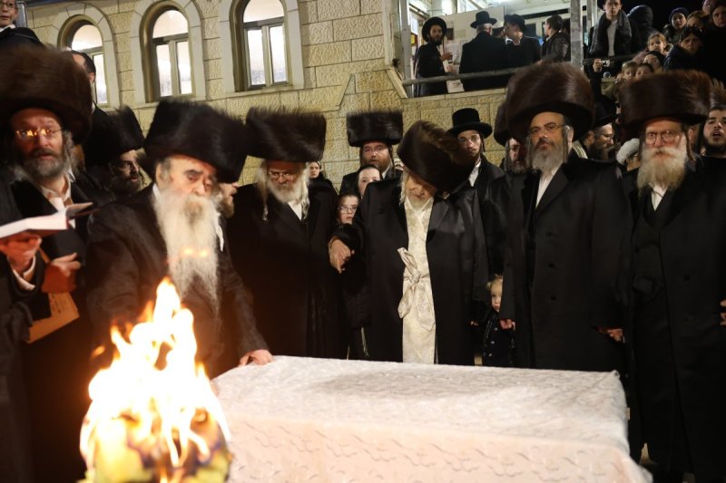 דוד כהן