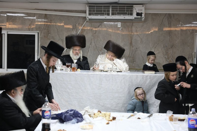 דוד כהן