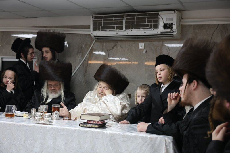 דוד כהן