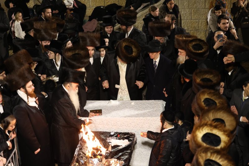 דוד כהן