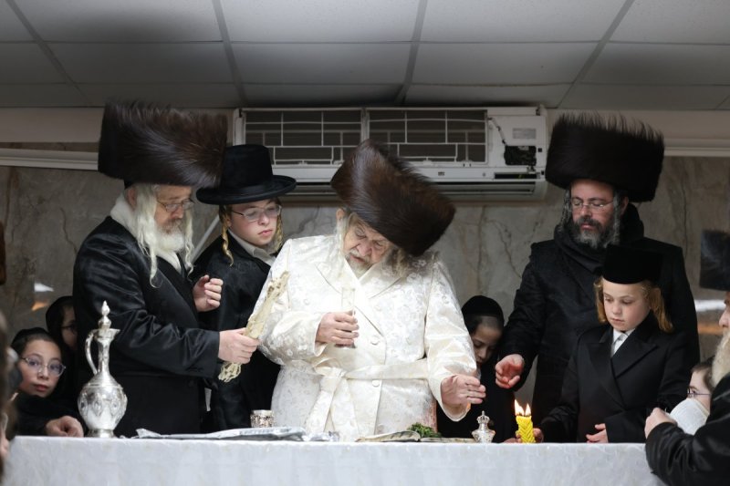 דוד כהן