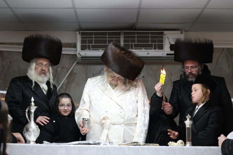 דוד כהן