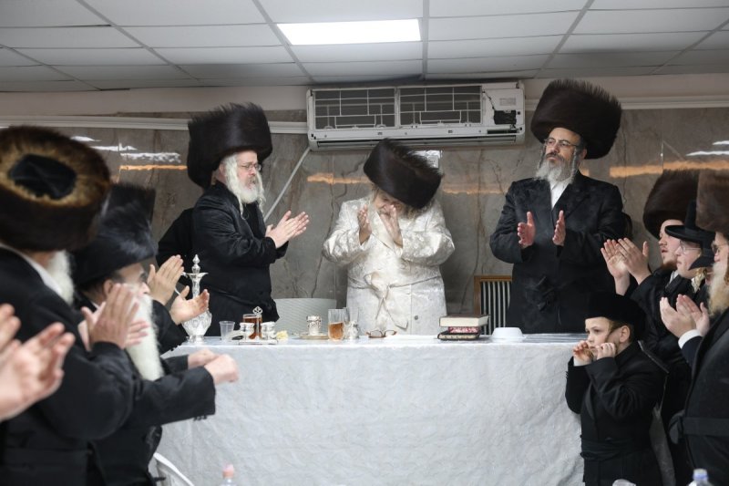 דוד כהן