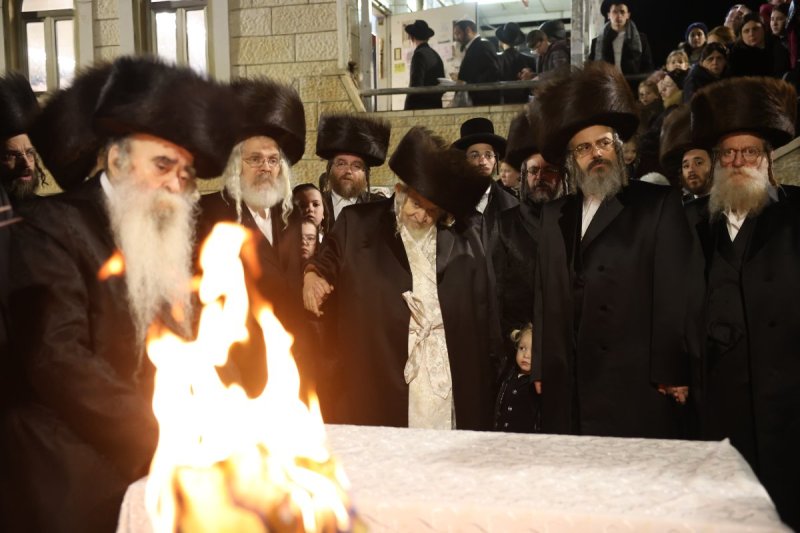 דוד כהן