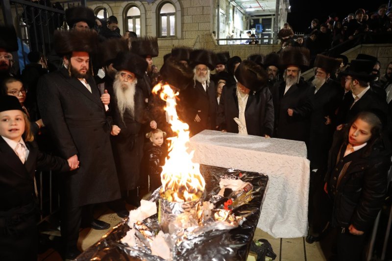 דוד כהן