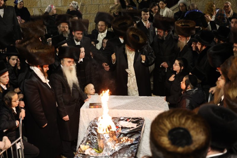 דוד כהן