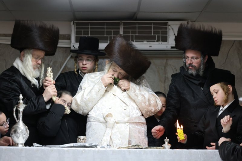דוד כהן