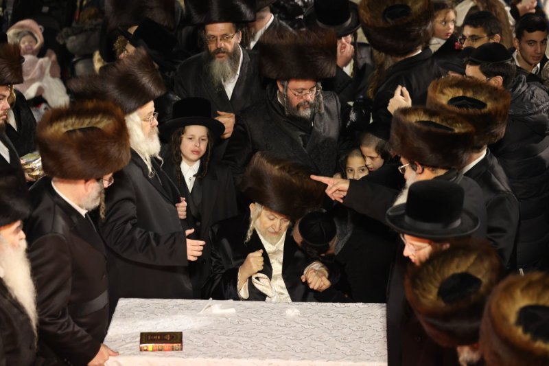 דוד כהן