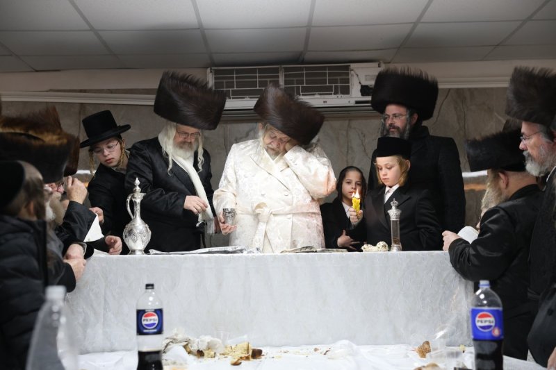 דוד כהן