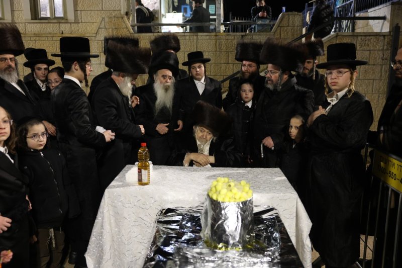דוד כהן