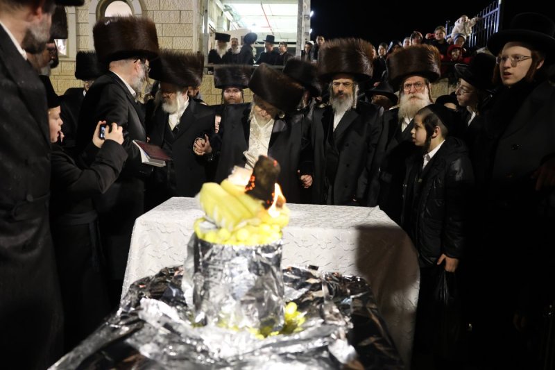 דוד כהן
