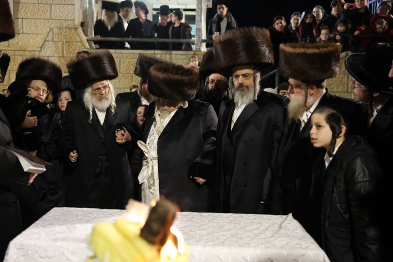 דוד כהן