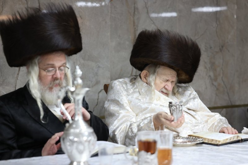 דוד כהן