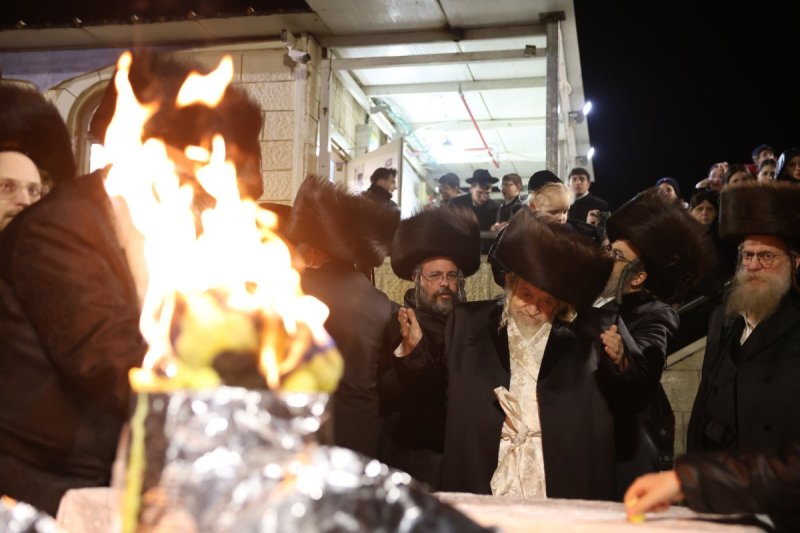 דוד כהן