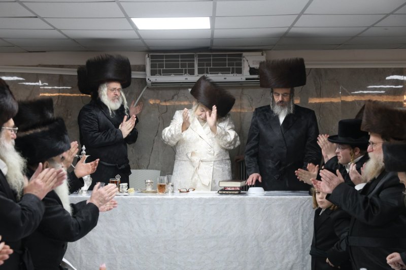 דוד כהן