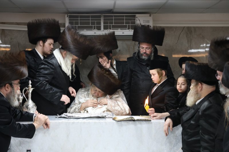 דוד כהן