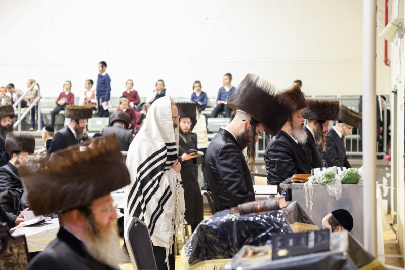 א. אייזנבאך