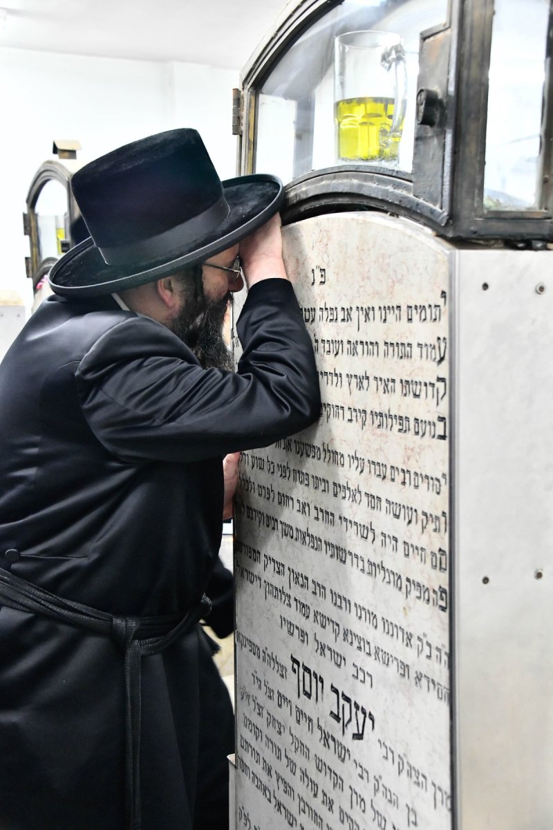 שוקי לרר