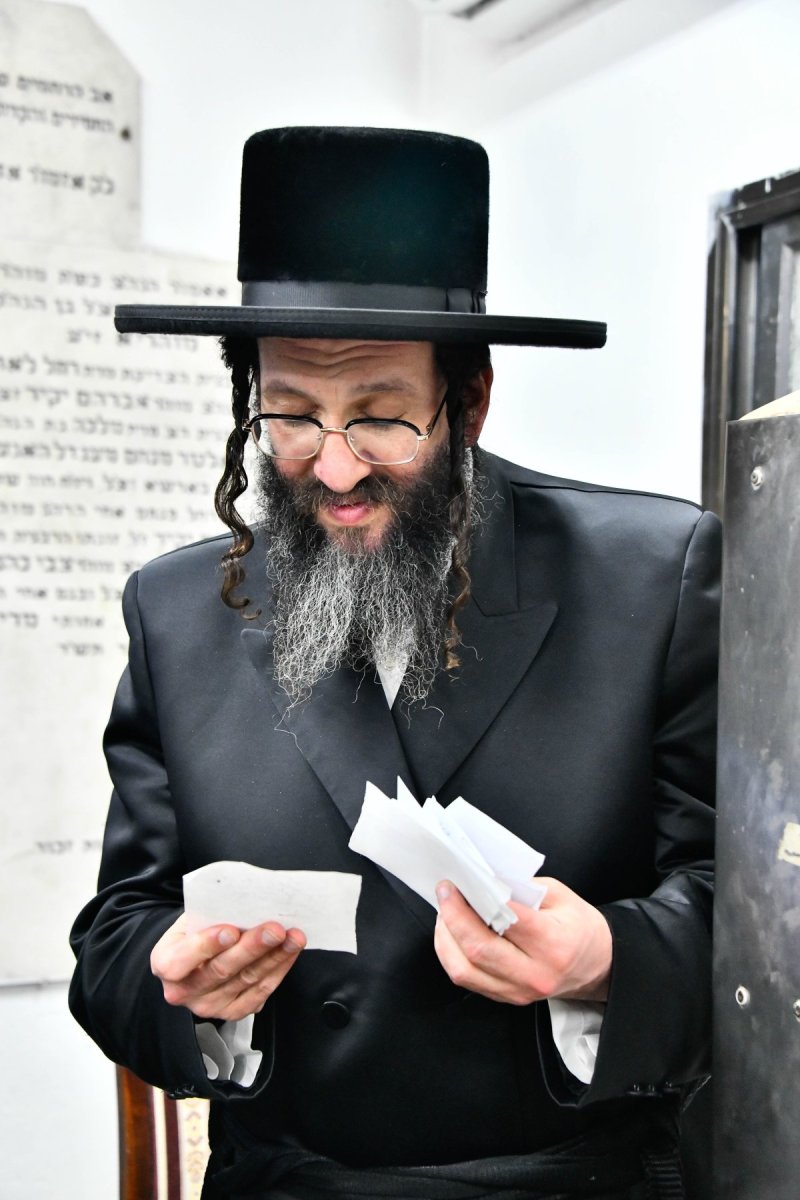 שוקי לרר
