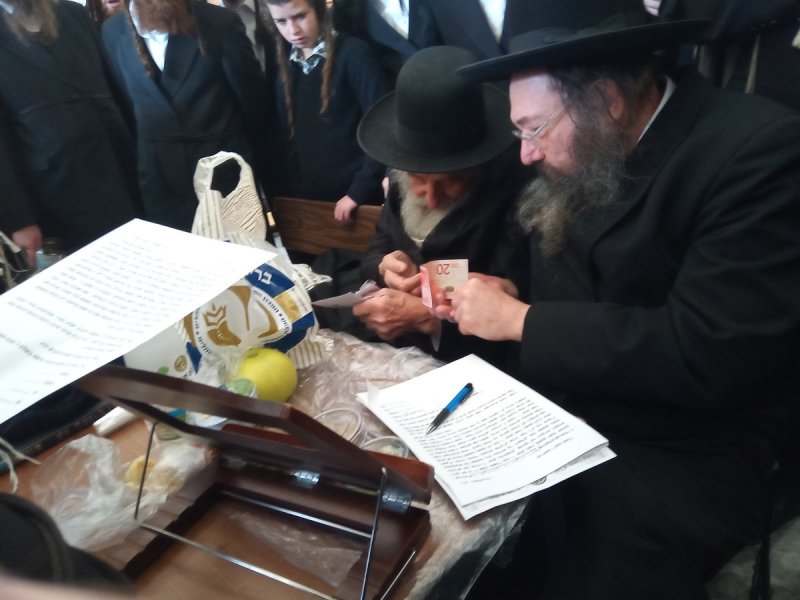 באדיבות המצלם