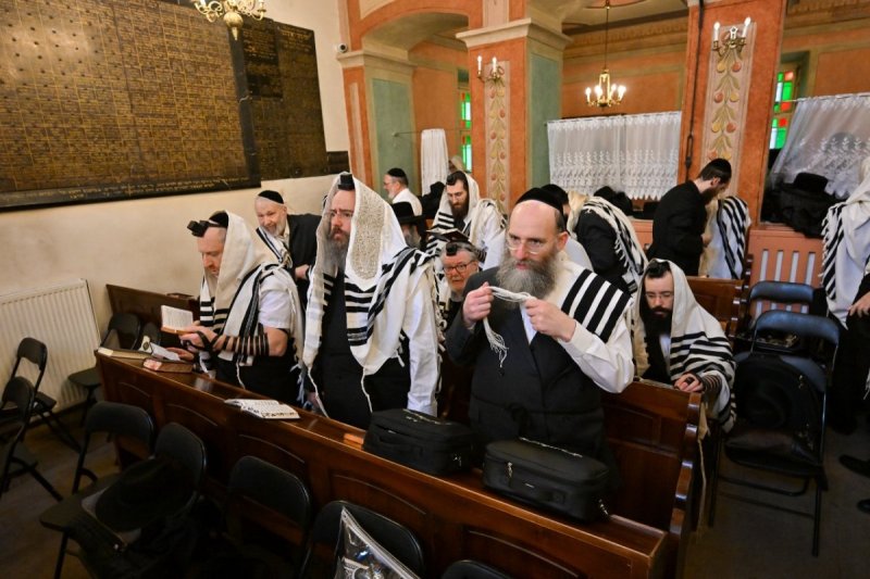 מאיר אדרי