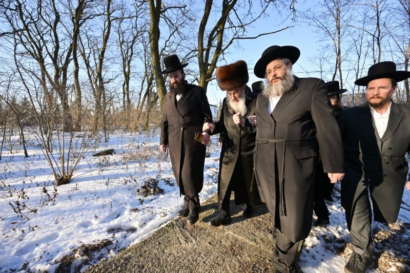 מאיר אדרי