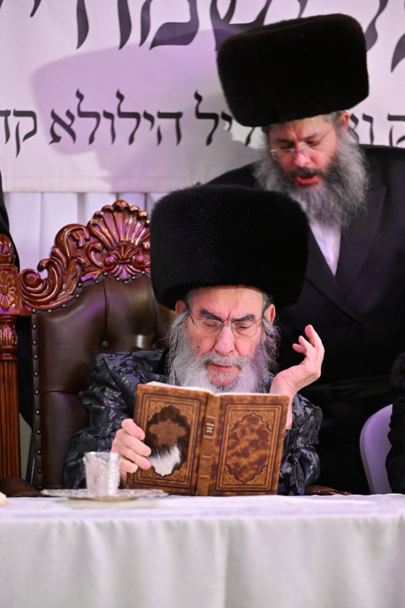 מאיר אדרי