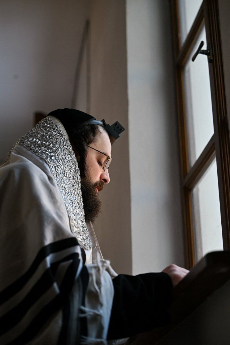 מאיר אדרי