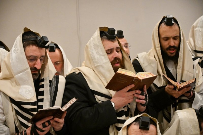 מאיר אדרי