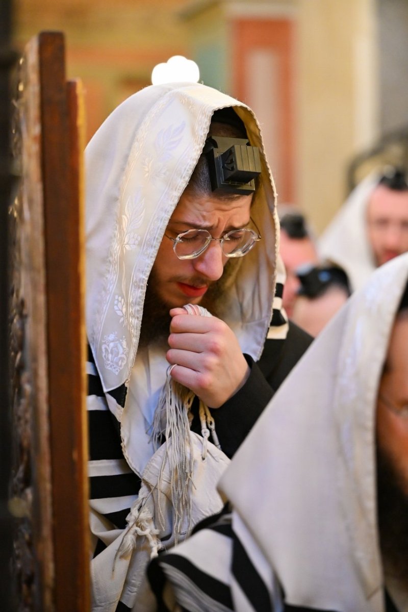 מאיר אדרי
