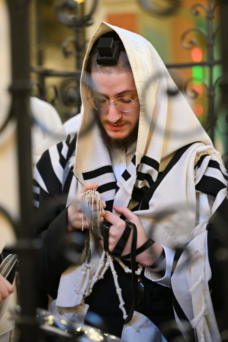 מאיר אדרי