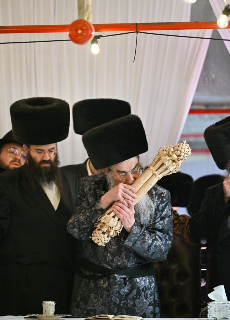 מאיר אדרי