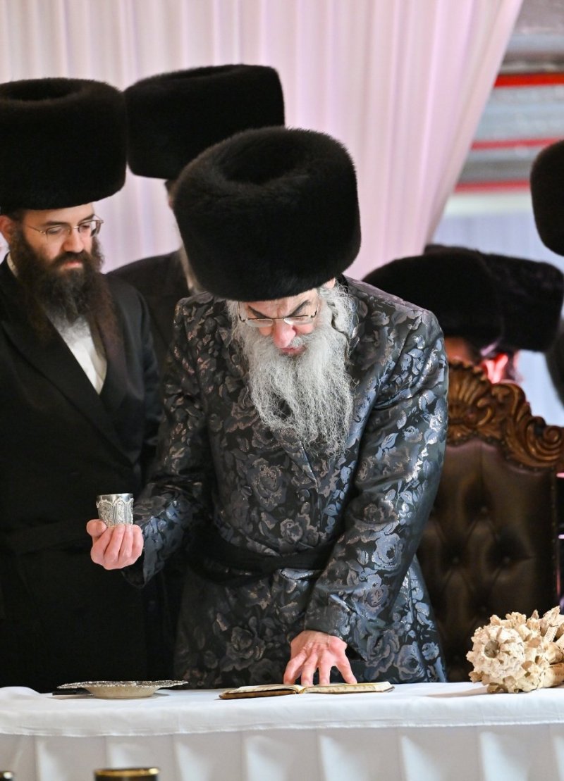 מאיר אדרי