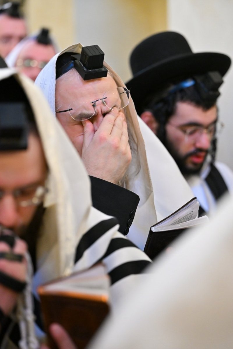 מאיר אדרי