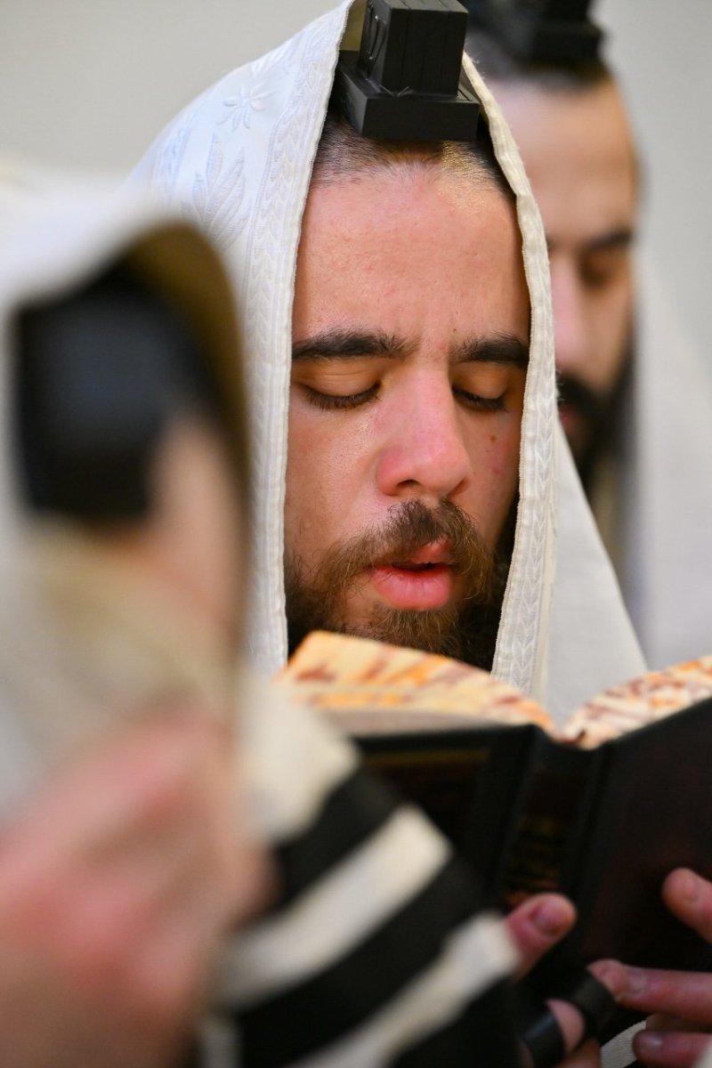 מאיר אדרי