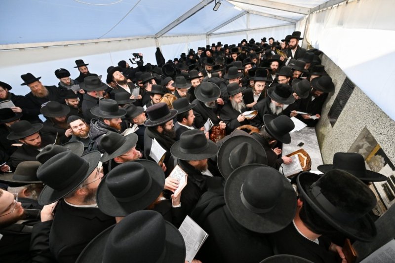 מאיר אדרי