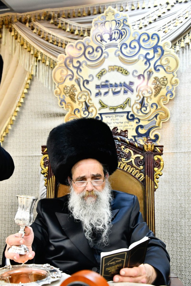 שוקי לרר