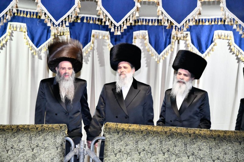 שוקי לרר