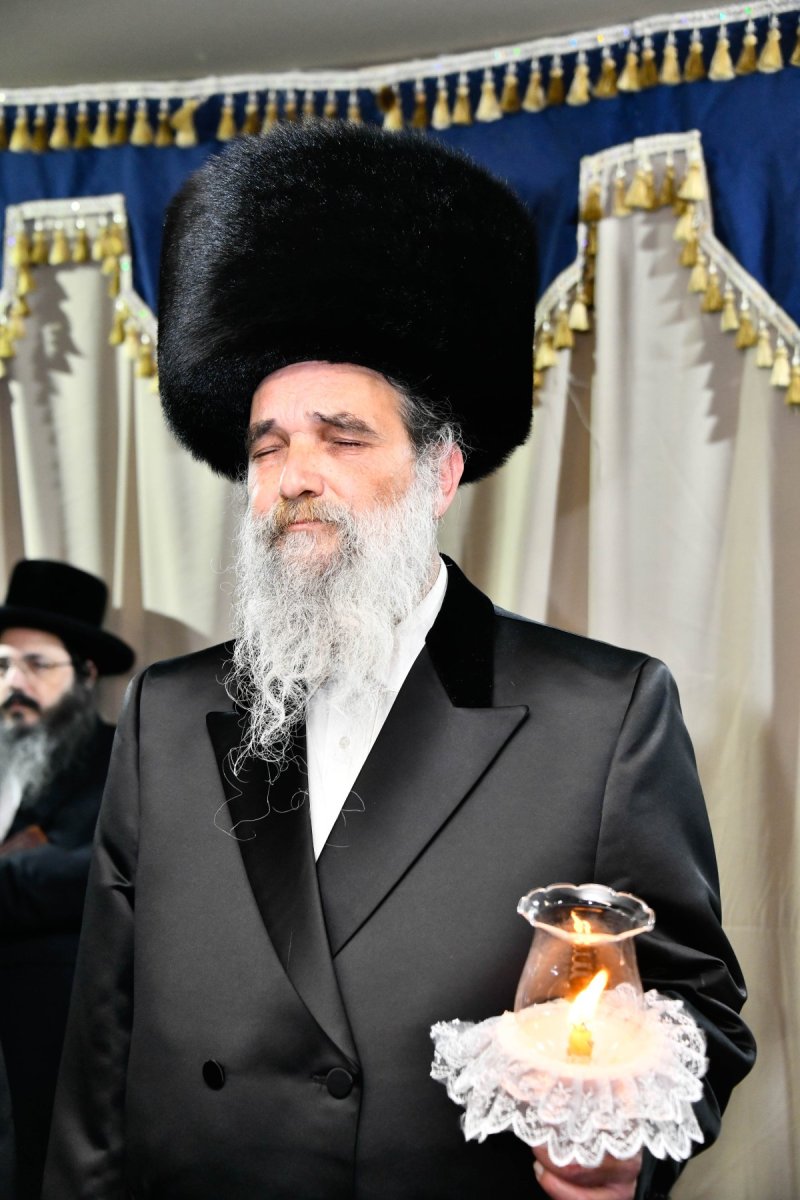 שוקי לרר