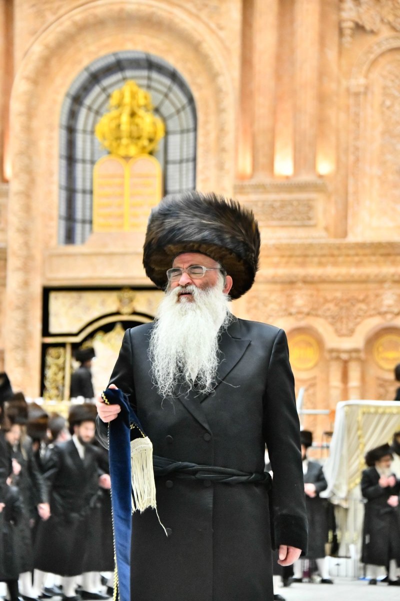 שוקי לרר