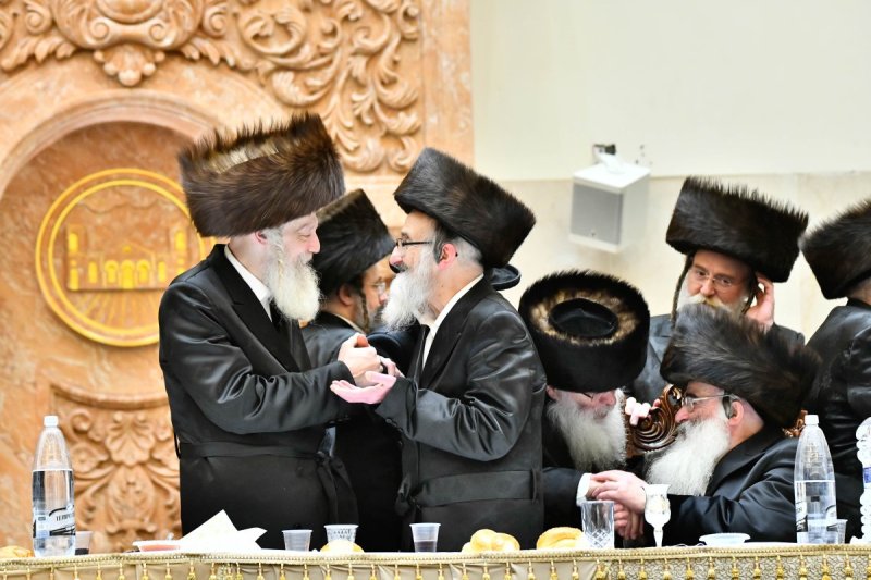שוקי לרר