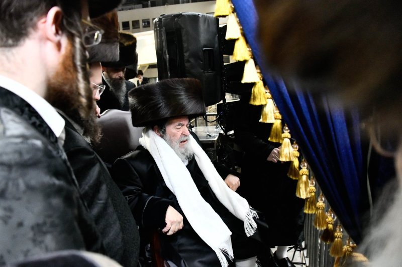שוקי לרר