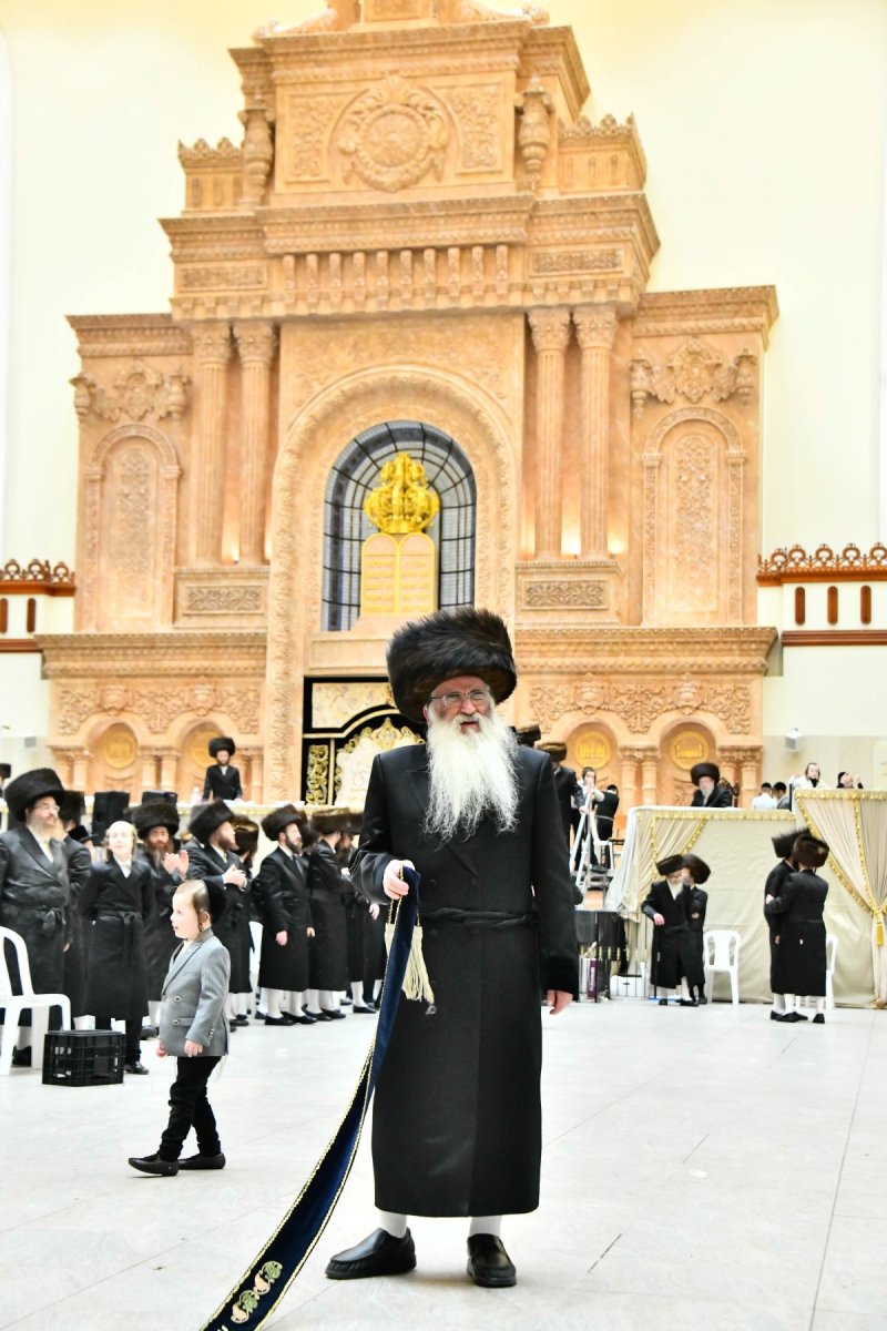 שוקי לרר