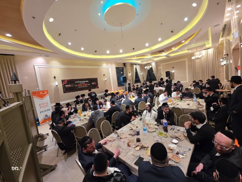 דוברות