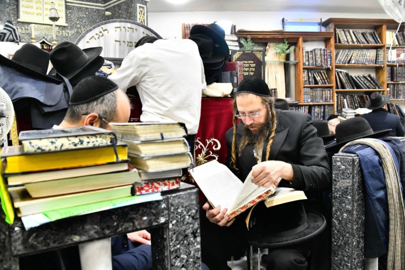 שוקי לרר