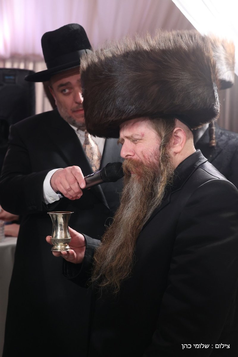 שלומי כהן