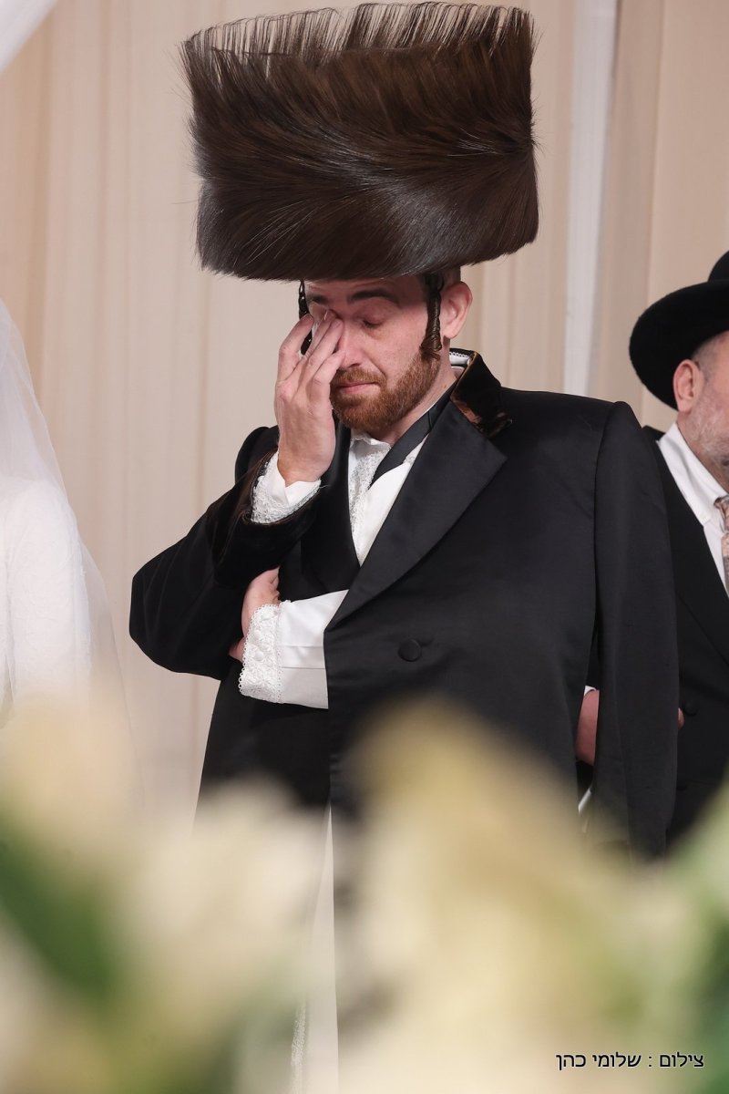 שלומי כהן