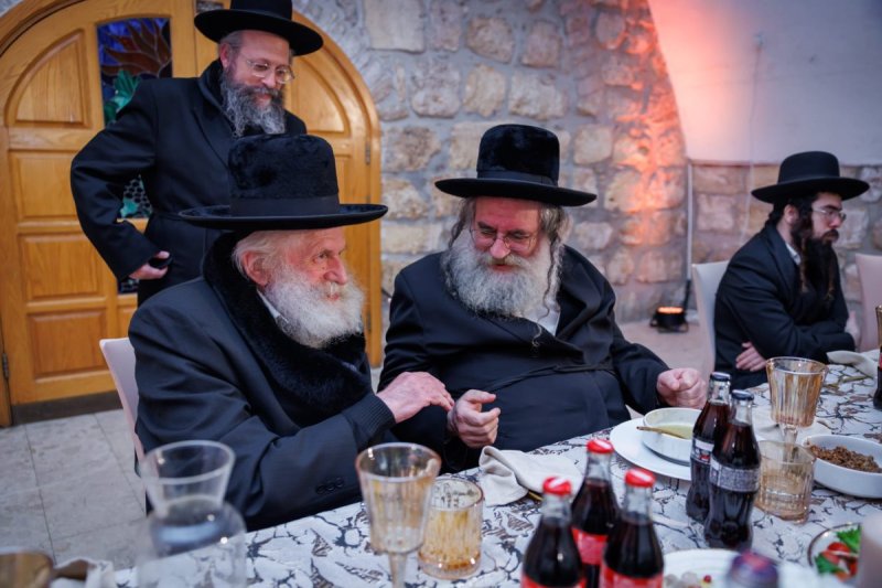דניאל נפוסי